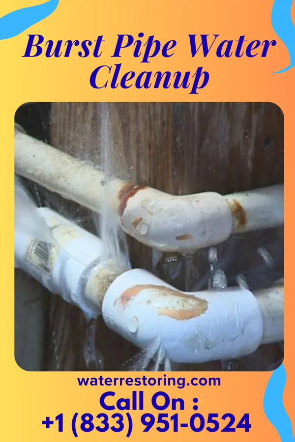 Burst Pipe Water Cleanup in Fillmore, IN