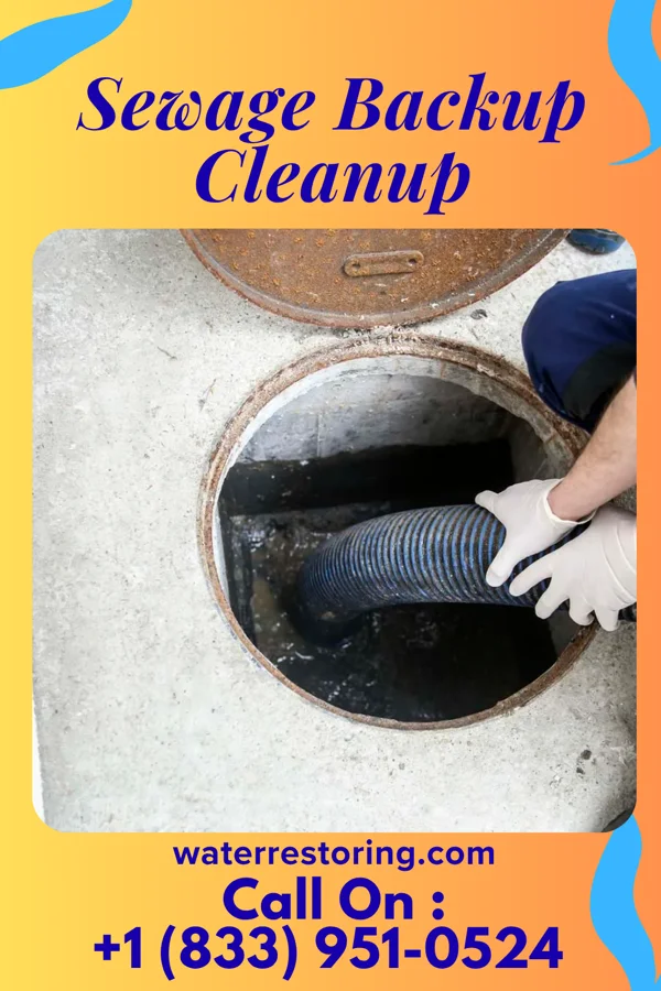 Sewage Backup Cleanup in Fillmore, IN